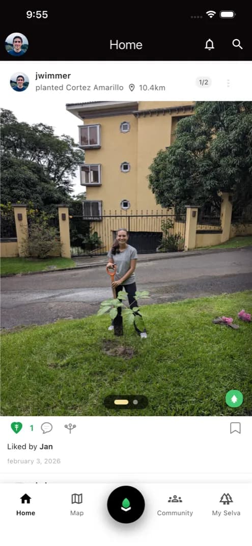 Selva app home feed showing a planted Cortez Amarillo tree with photo